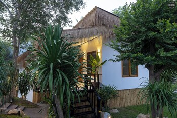 ko pha ngan