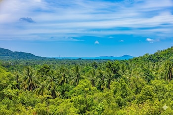 ko pha ngan