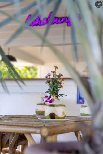 boho boutique bungalows