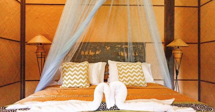 elephant camp maerim