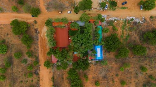 tectona treetop mansion