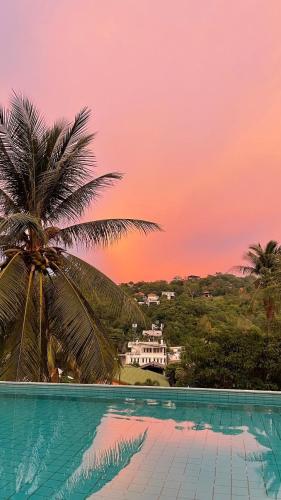 koh tao