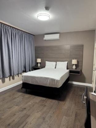 dream hotel bronx