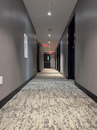 dream hotel bronx