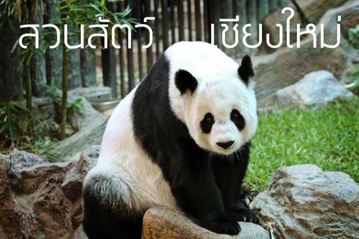 go inn maya chiang mai