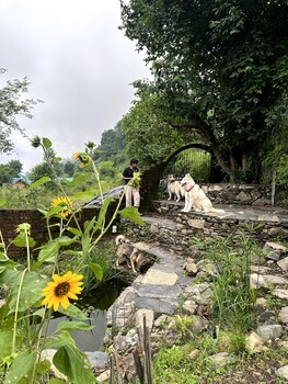nainital