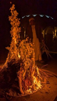 siwa