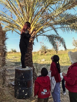 siwa