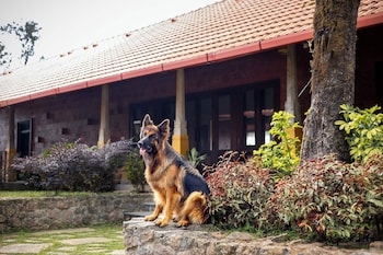 ama stays and trails alpenhof coorg