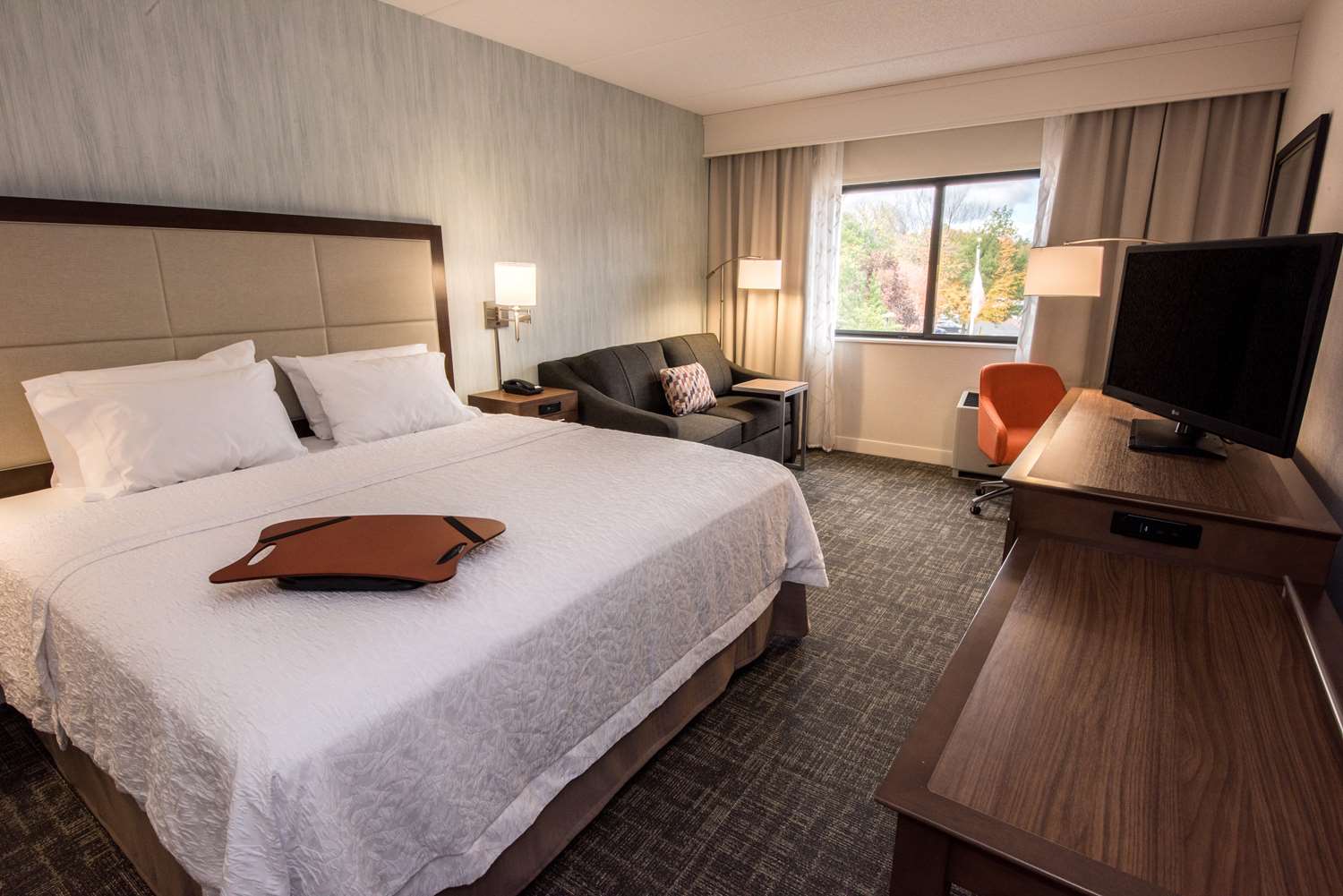 hampton inn albany western ave university area