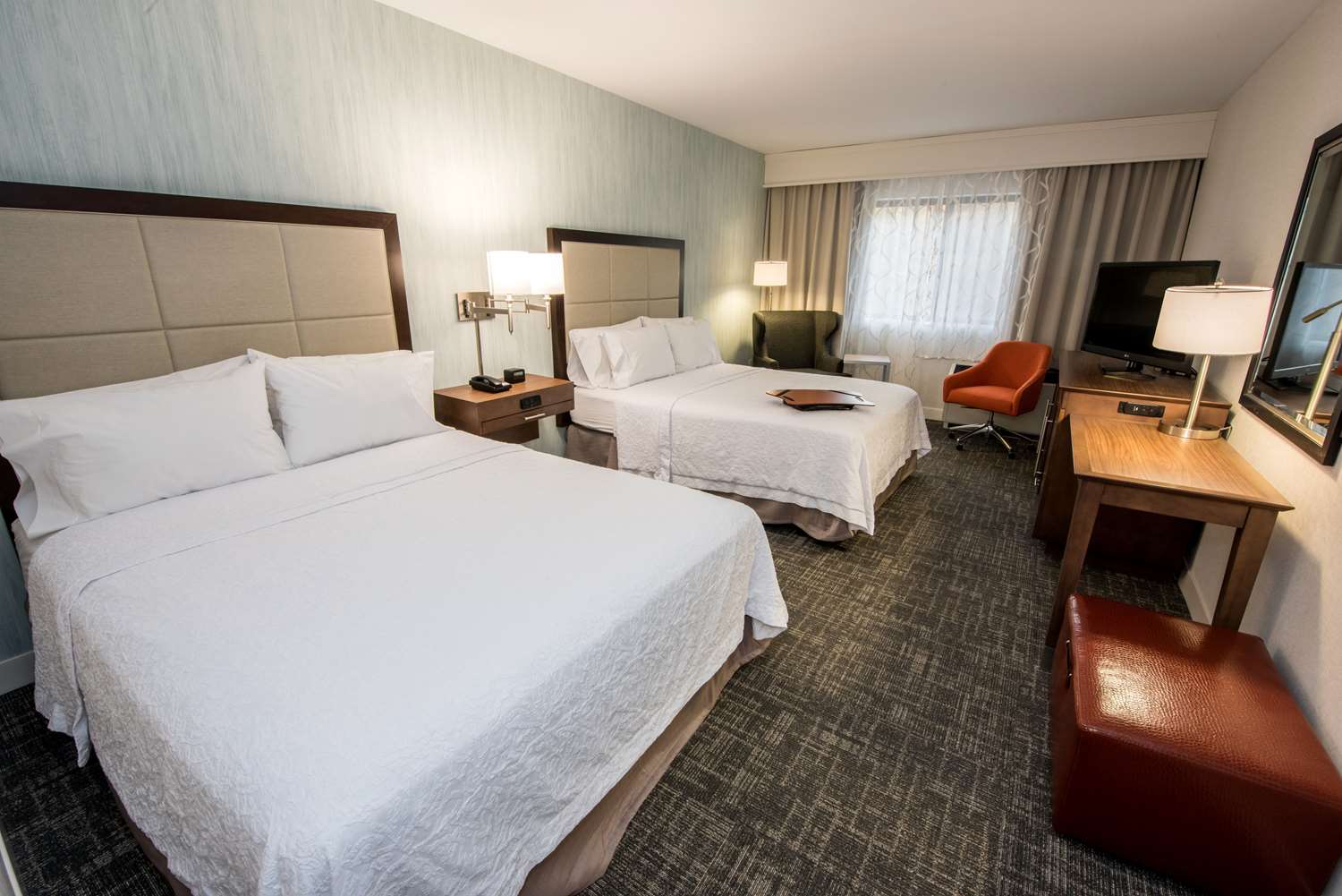 hampton inn albany western ave university area