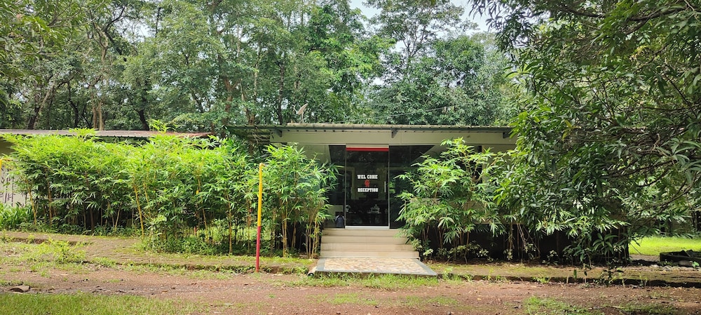 ankola