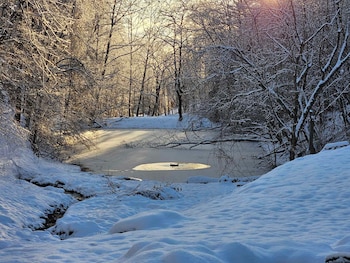 greeneville