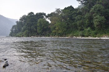 grandeurs tiger estate