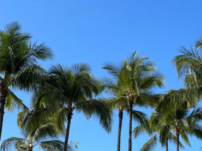 honolulu