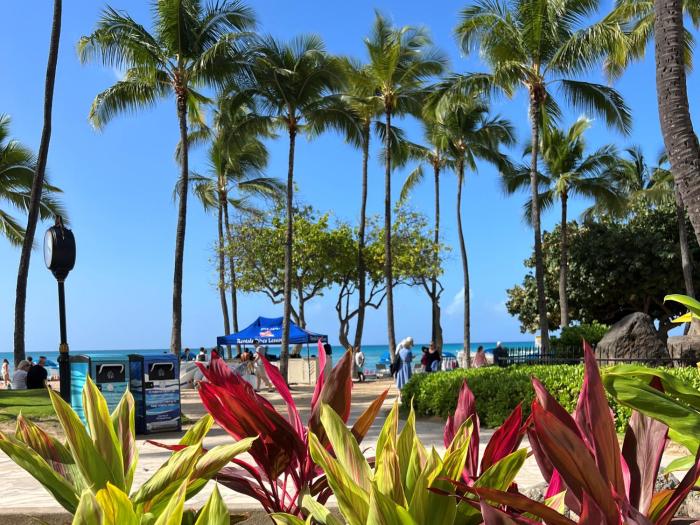 first cabin international hawaii