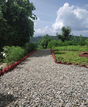 pine pioneer the eco resort