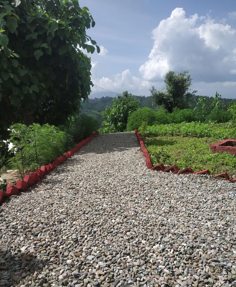 pine pioneer the eco resort