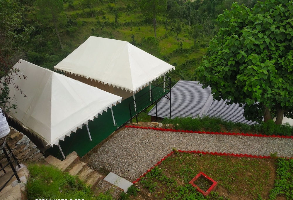 pine pioneer the eco resort