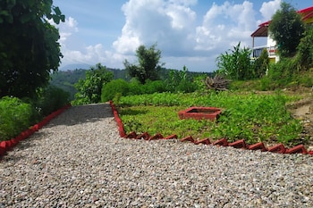 pine pioneer the eco resort