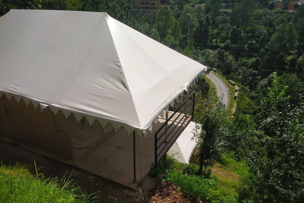 pine pioneer the eco resort