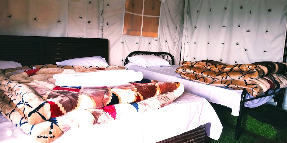 pine pioneer the eco resort