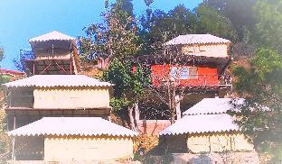 pine pioneer the eco resort