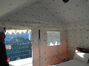 pine pioneer the eco resort