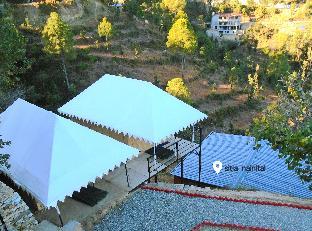 pine pioneer the eco resort