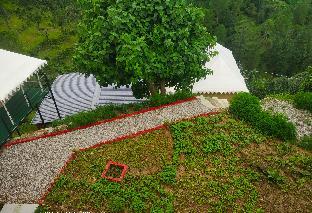 pine pioneer the eco resort