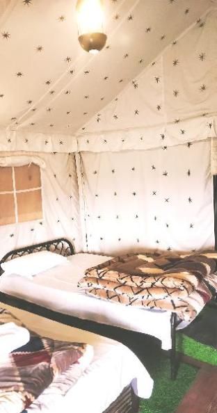 pine pioneer the eco resort