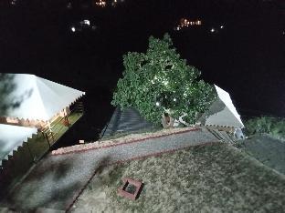 Pine Pioneer The Eco Resort,,2 star