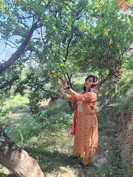 pine pioneer the eco resort