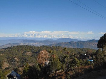 pine pioneer the eco resort