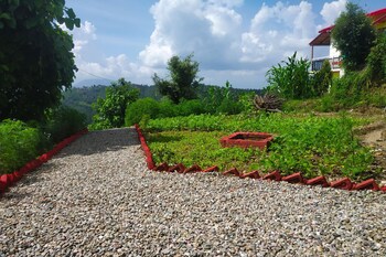 pine pioneer the eco resort