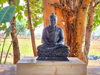 angirasa luxury camping