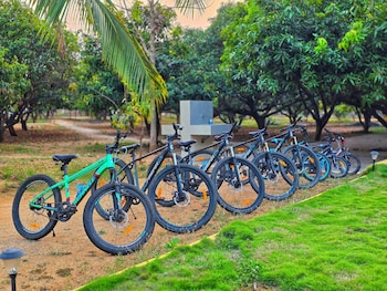 angirasa luxury camping