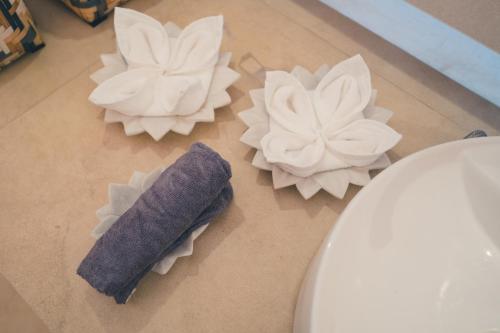 angirasa luxury camping