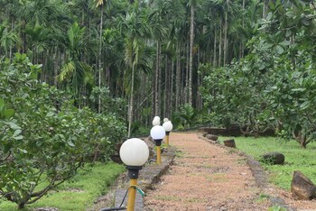 Riverstone Nature Resort,,3 star