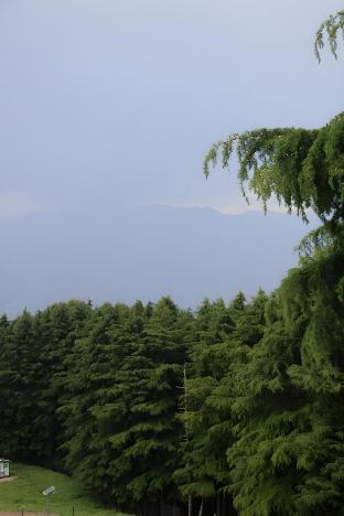the outhouse forest view kalatop
