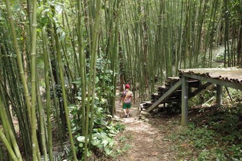 Doichang View,,3 star