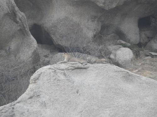 aaramgah jawai resort and spa a member of radisson individuals retreat