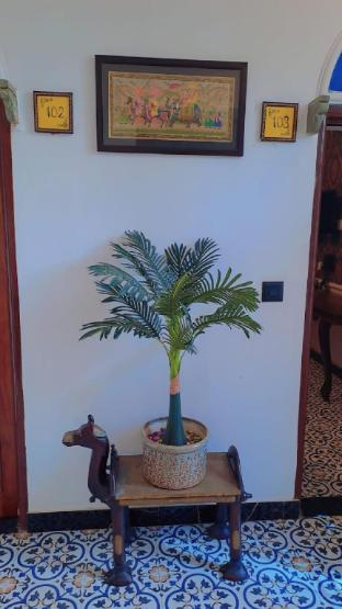 hotel ambika chirwa house