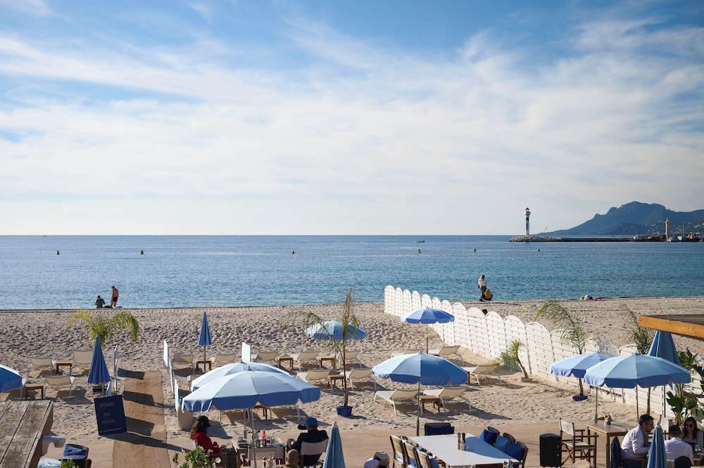 le xv cannes