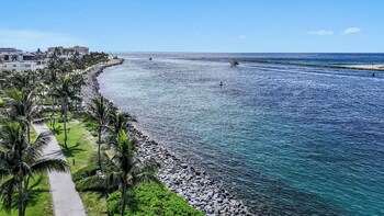 inlet palm beaches