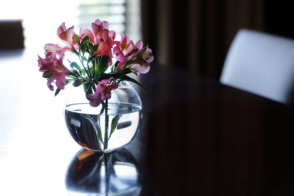 park hyatt mendoza