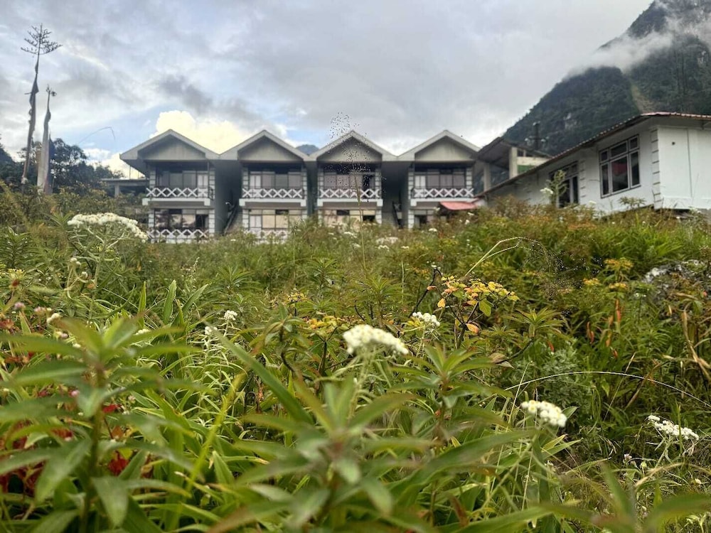 whispering pines lachung