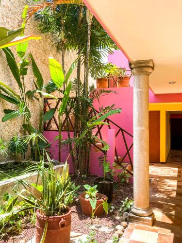 art 57 hotel adults only