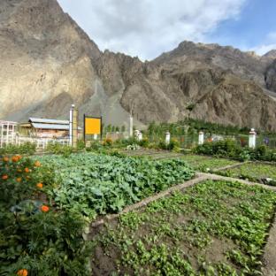 the village resort ashuna