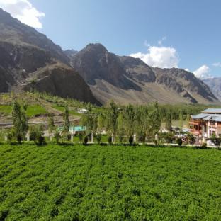 the village resort ashuna